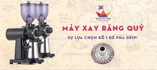 May xay rang quy visty nobrand 5