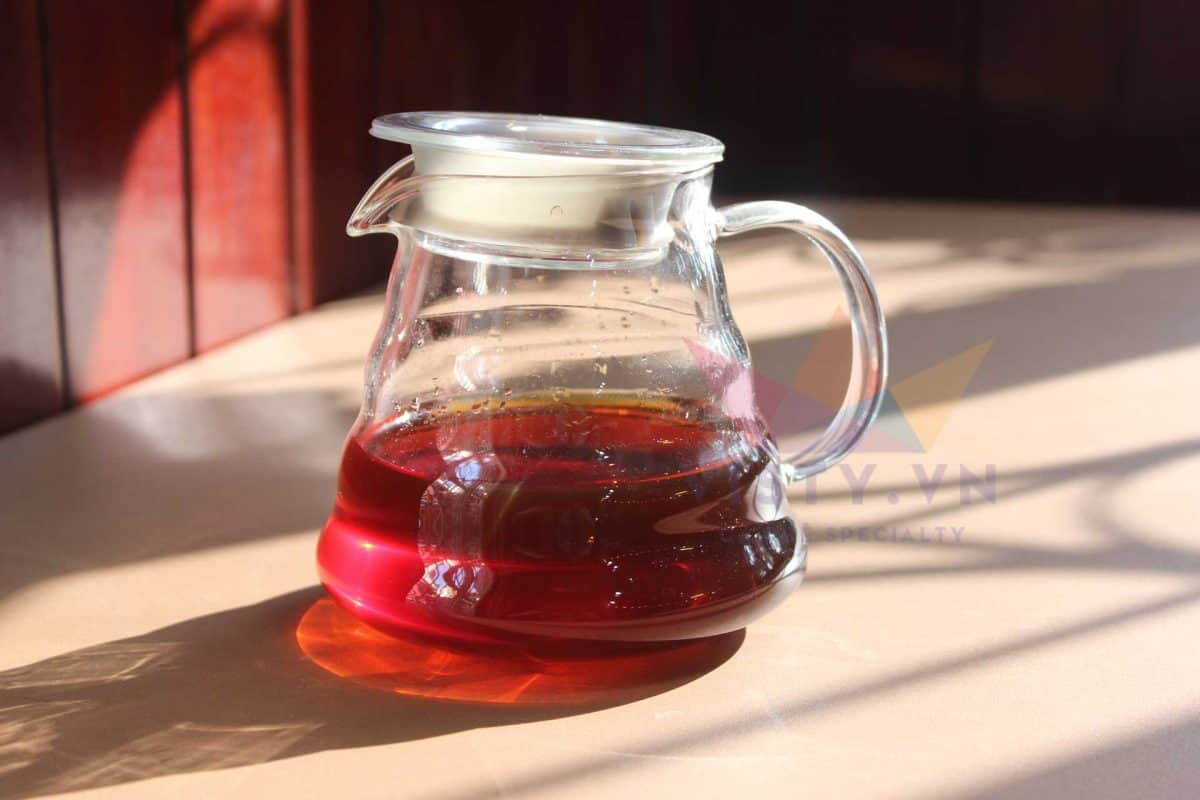 visty binh dung server 600ml
