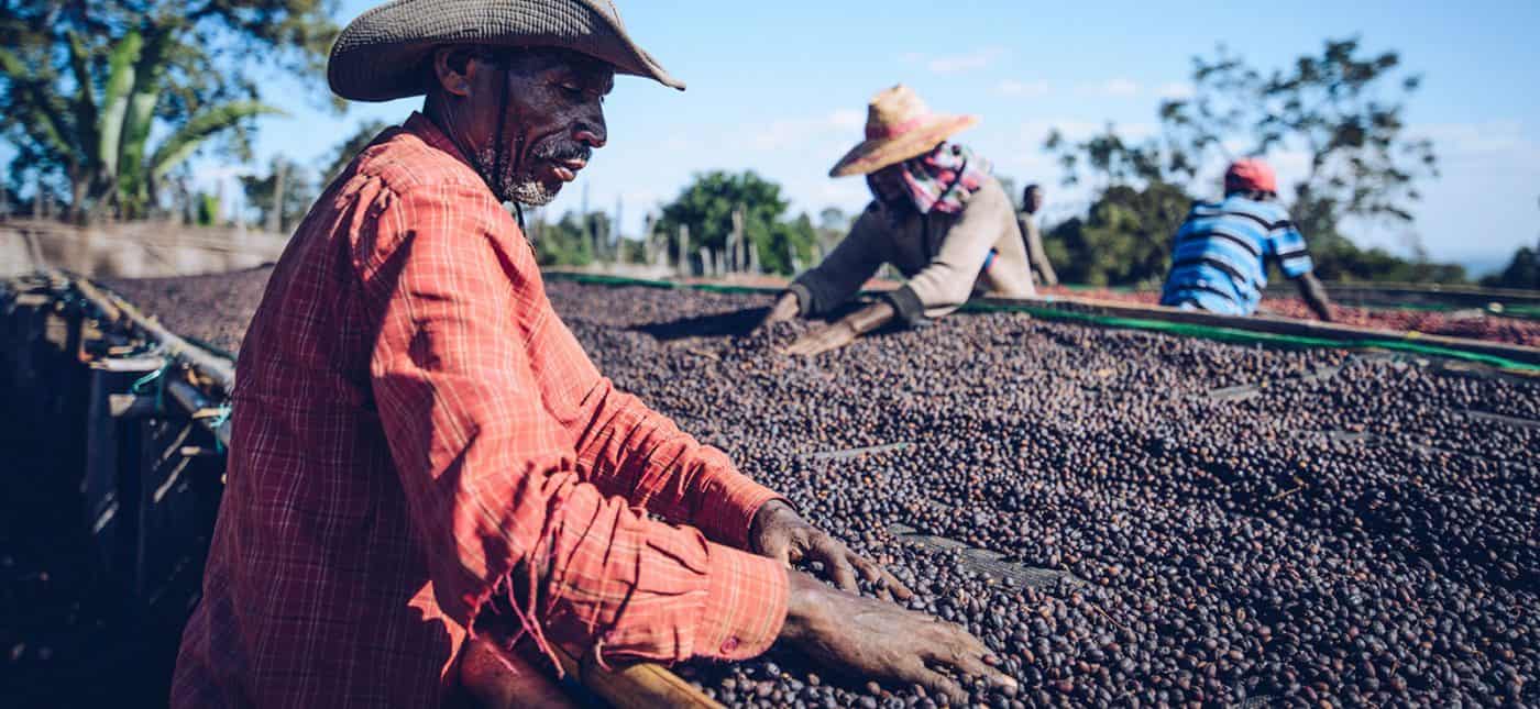 ca phe ethiopia sidamo no brand 5