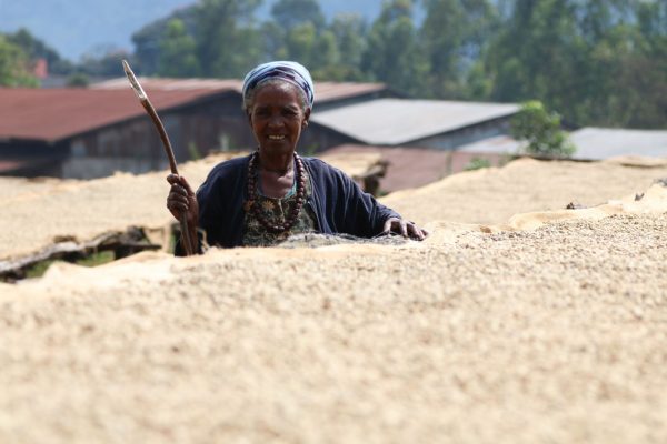 ca phe ethiopia yirgacheffe specialty 6