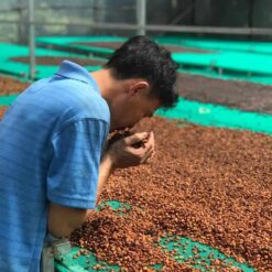 future farm toi nguyen 12