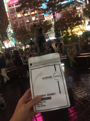 Yoshihiro 2