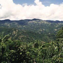 ca phe costa rica tarrazu 1
