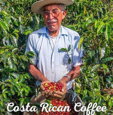 ca phe costa rica tarrazu 12 e1546158003500