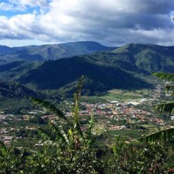 ca phe costa rica tarrazu 4