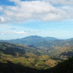 ca phe costa rica tarrazu 9