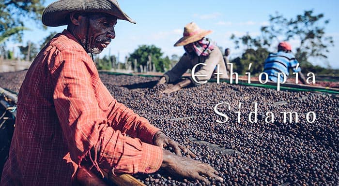 ca phe ethiopia sidamo no brand 5