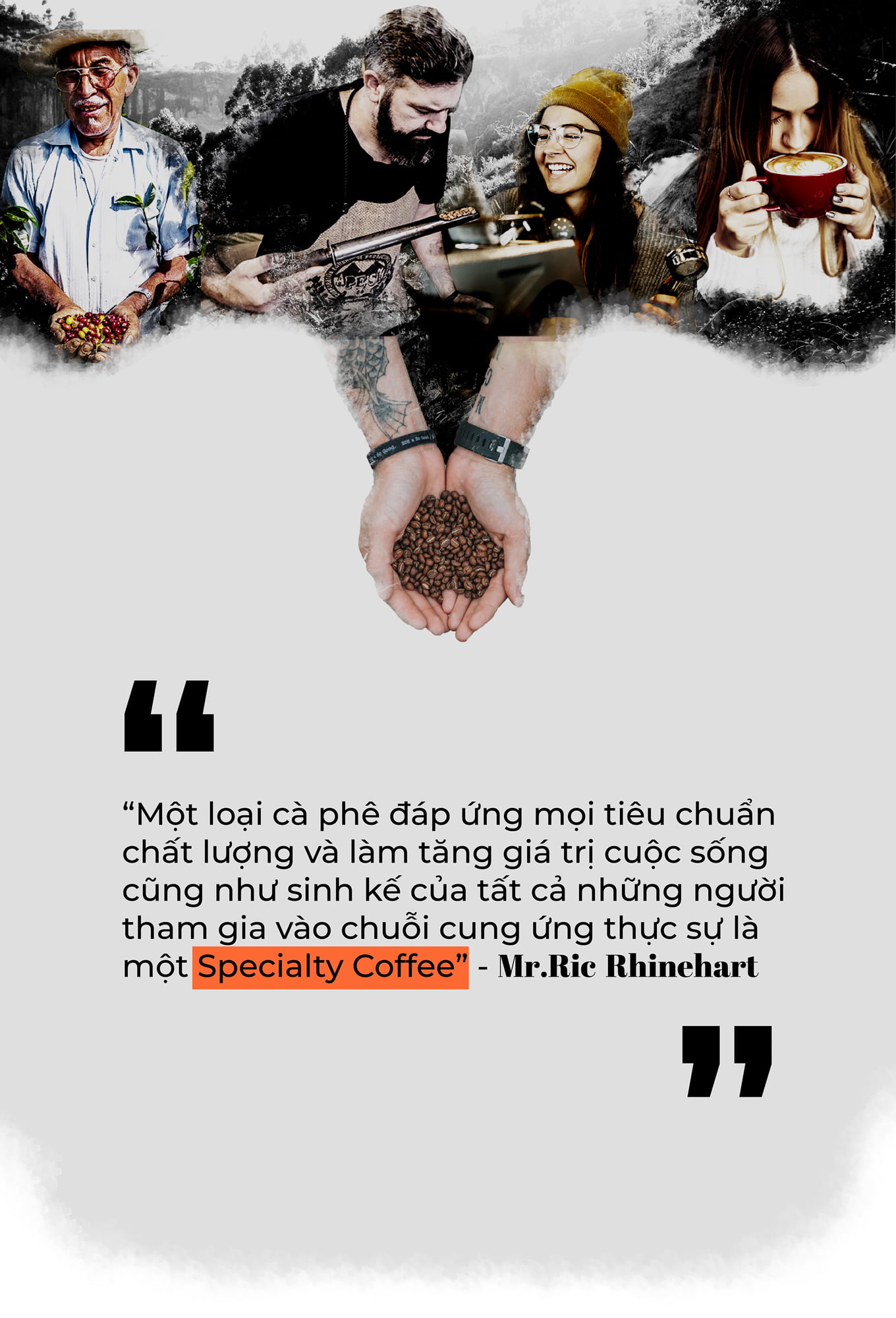 ca phe specialty la gi anh banner