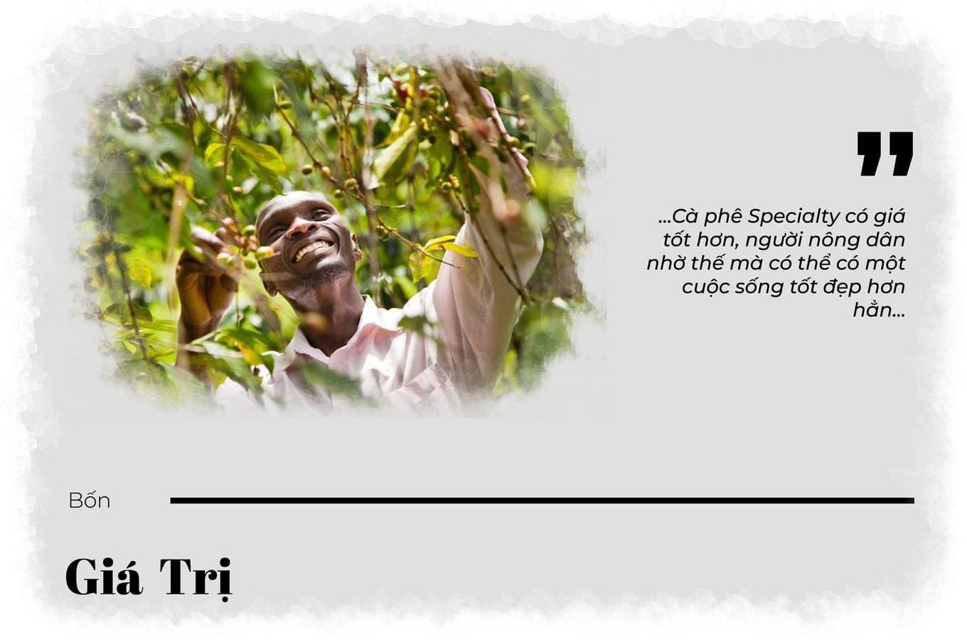 caphespecialtylagi giatri 1