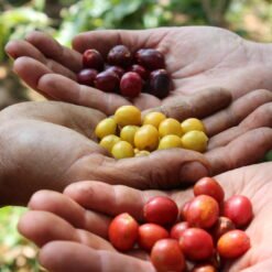 7343253076 988ef15b6a k