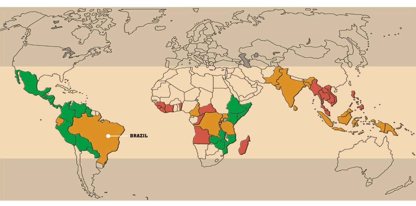 The Coffee Belt BRAZIL