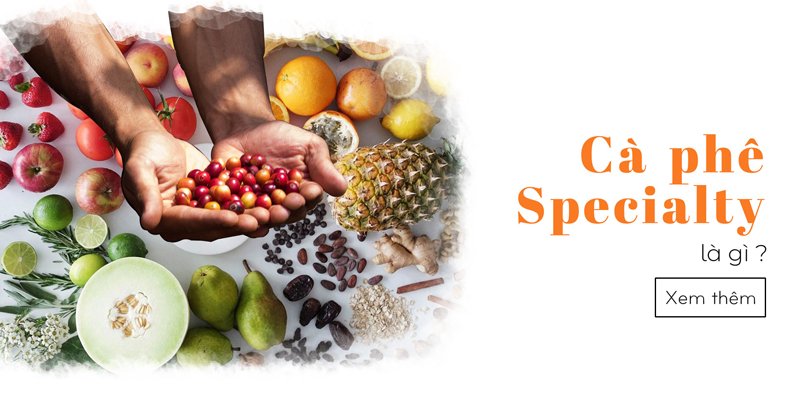 kien thuc ve ca phe specialty