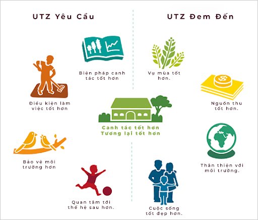 cà phê núi min đà lạt 10