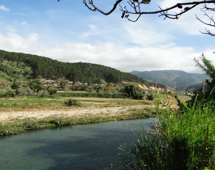 cà phê núi min đà lạt 7