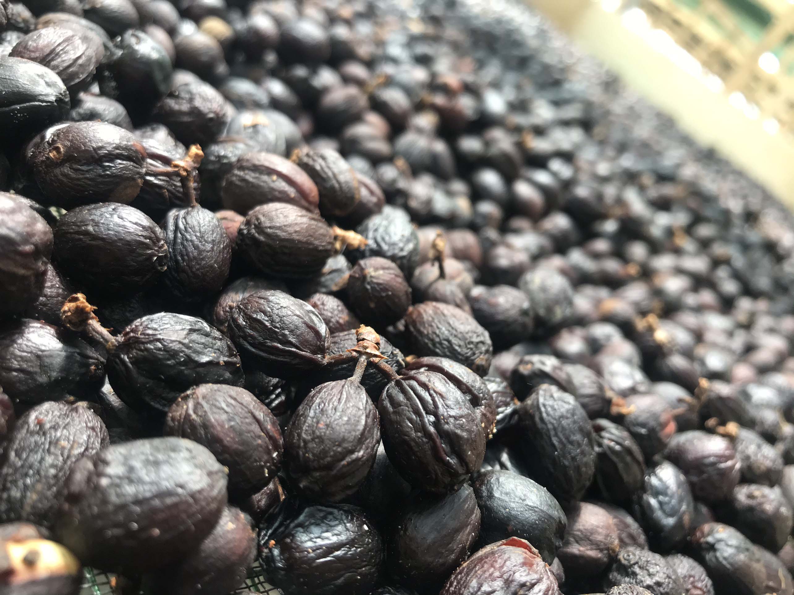 ca phe cau dat nui min so che kho