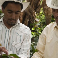 Ca phe Colombia Narino 7