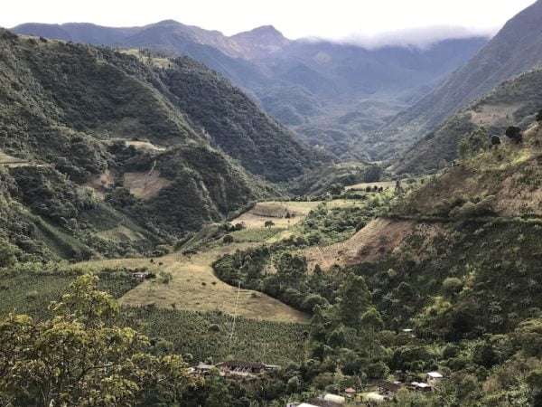 Ca phe Colombia Narino 8