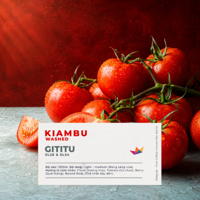 Avartar ca Phe Kenya Kiambu Gititu