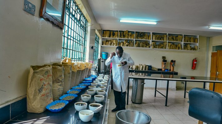 ca phe kenya kiambu sasini aa 11
