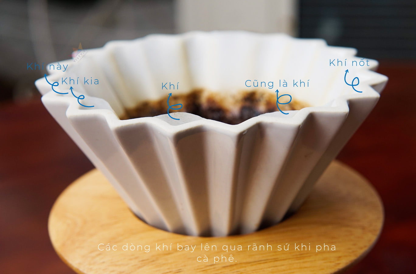 Phễu pha cà phê Orisera 12