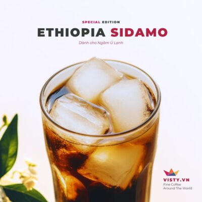 ethiopia sidamo 2023