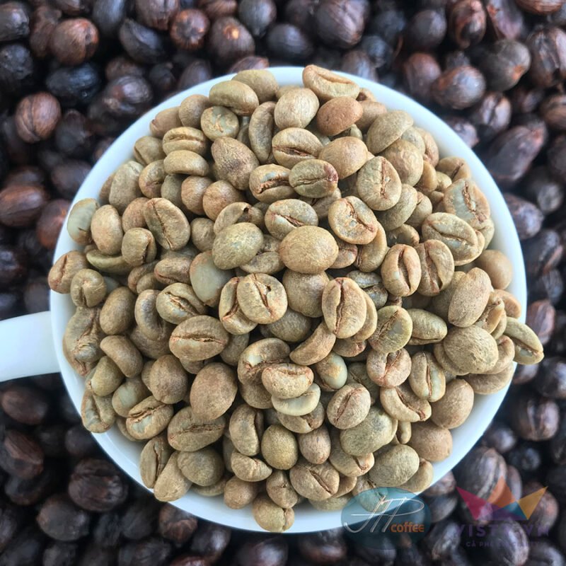 ca phe robusta yem khi 16
