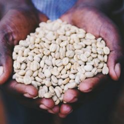 ca phe ethiopia uraga visty 5