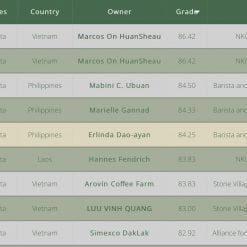 ca phe fine robusta arovin gia lai 2