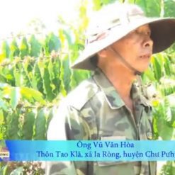 ca phe fine robusta arovin gia lai 7