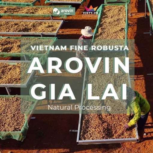 ca phe fine robusta arovin gia lai avt 1