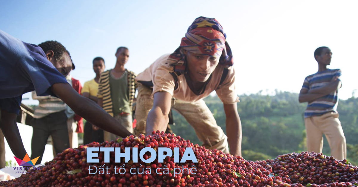 ethiopia nguon goc ca phe 3