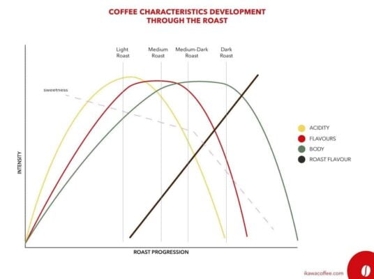 Roast Characteristic Progression Graph 2 e1688540093663