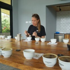 ca phe tu nong trai hacienda la esmeralda diamond moutain 1