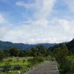 ca phe tu nong trai hacienda la esmeralda diamond moutain 2