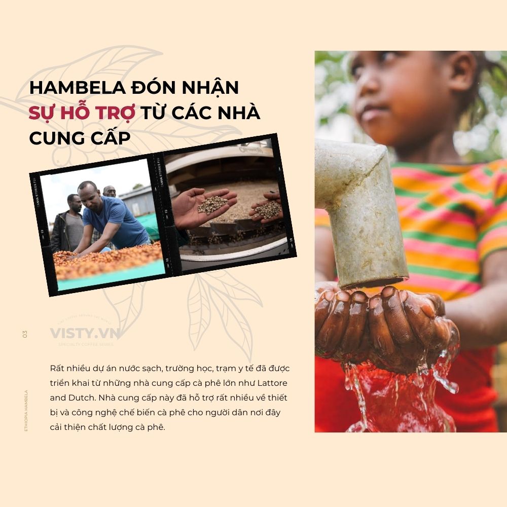 ca phe ethiopia hambela