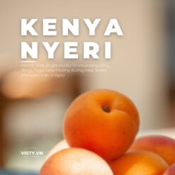 Cà phê kenya Nyeri