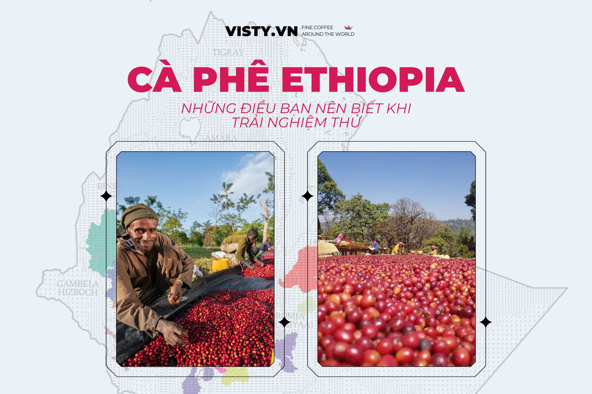 ca phe specialty ca phe ethiopia