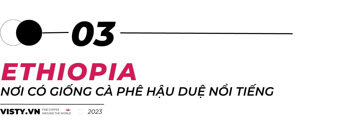 ca-phe-ethiopia-nguon-goc-ca-phe-specialty