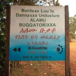 ca phe ethiopia banko gotiti visty 2