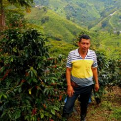 caphe colombia gesha 2