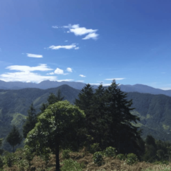 ca phe costa rica chirripo 1