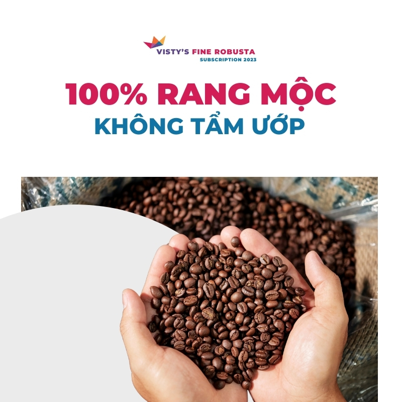 fine robusta subscription visty 23