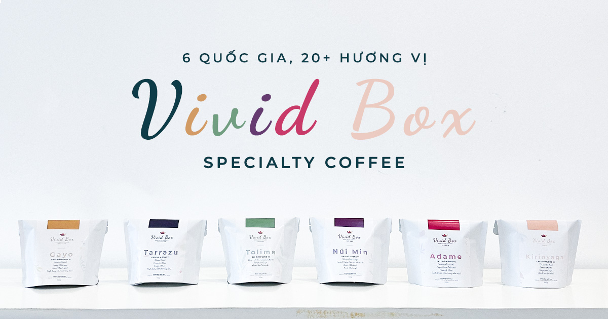 vivid box ctw