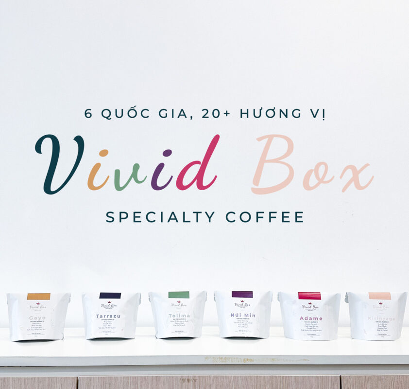 vivid box visty ca phe the gioi61