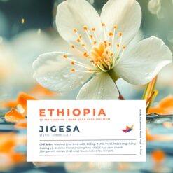 Ethiopia-Jigesa-8