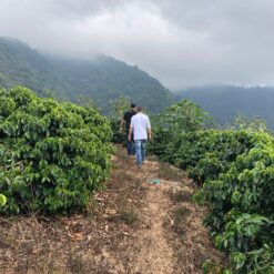 ca phe costa rica imperio rojo chirripo 1