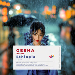 ca phe ethiopia dimma gesha avt