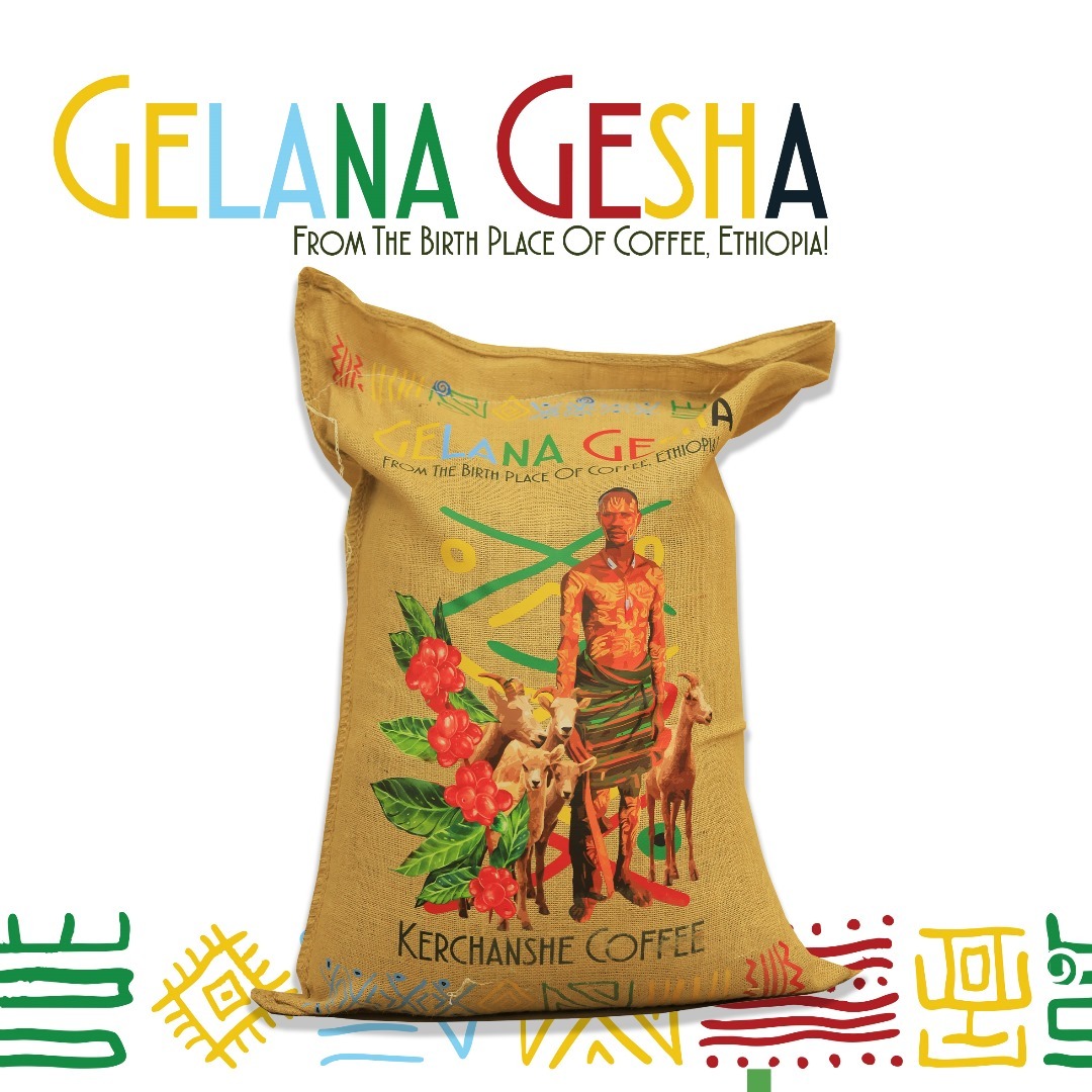 ca phe ethiopia gelena gesha 2024 9
