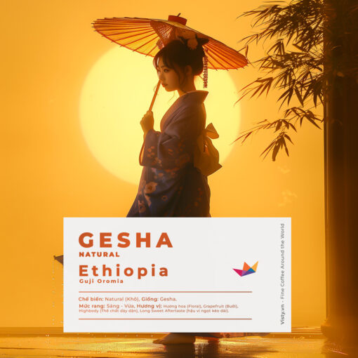 ca phe ethiopia gelena gesha 2024 avt