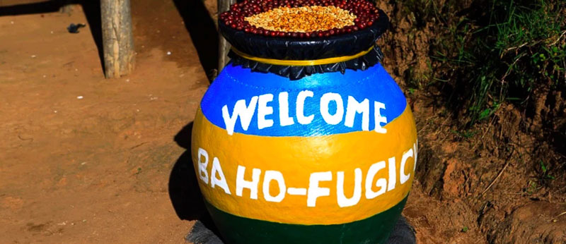 ca phe rwanda visty baho coffee 09